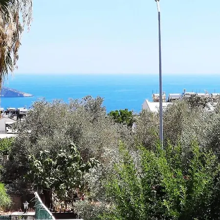Elif Kalkan Kas