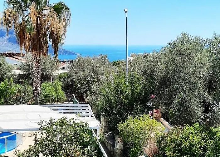 Elif Kalkan * 卡斯