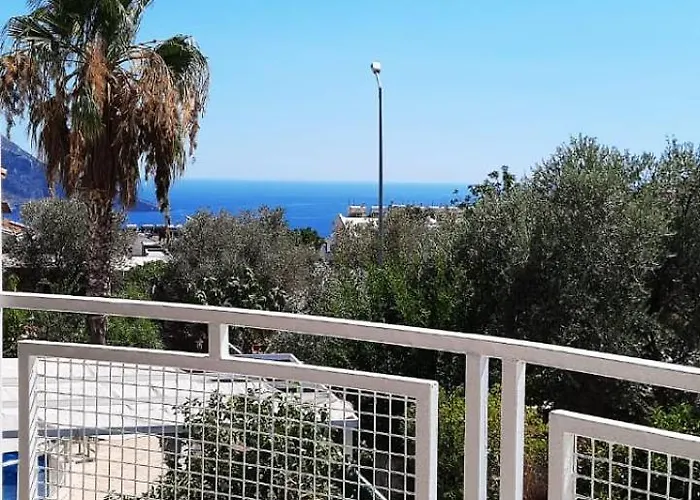 Elif Kalkan *