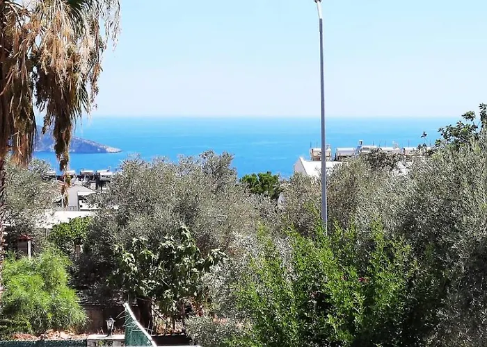 Elif Kalkan 卡斯